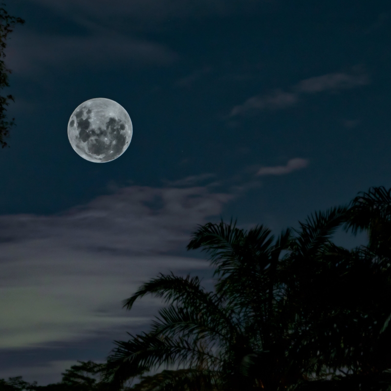 Full Moon Yoga