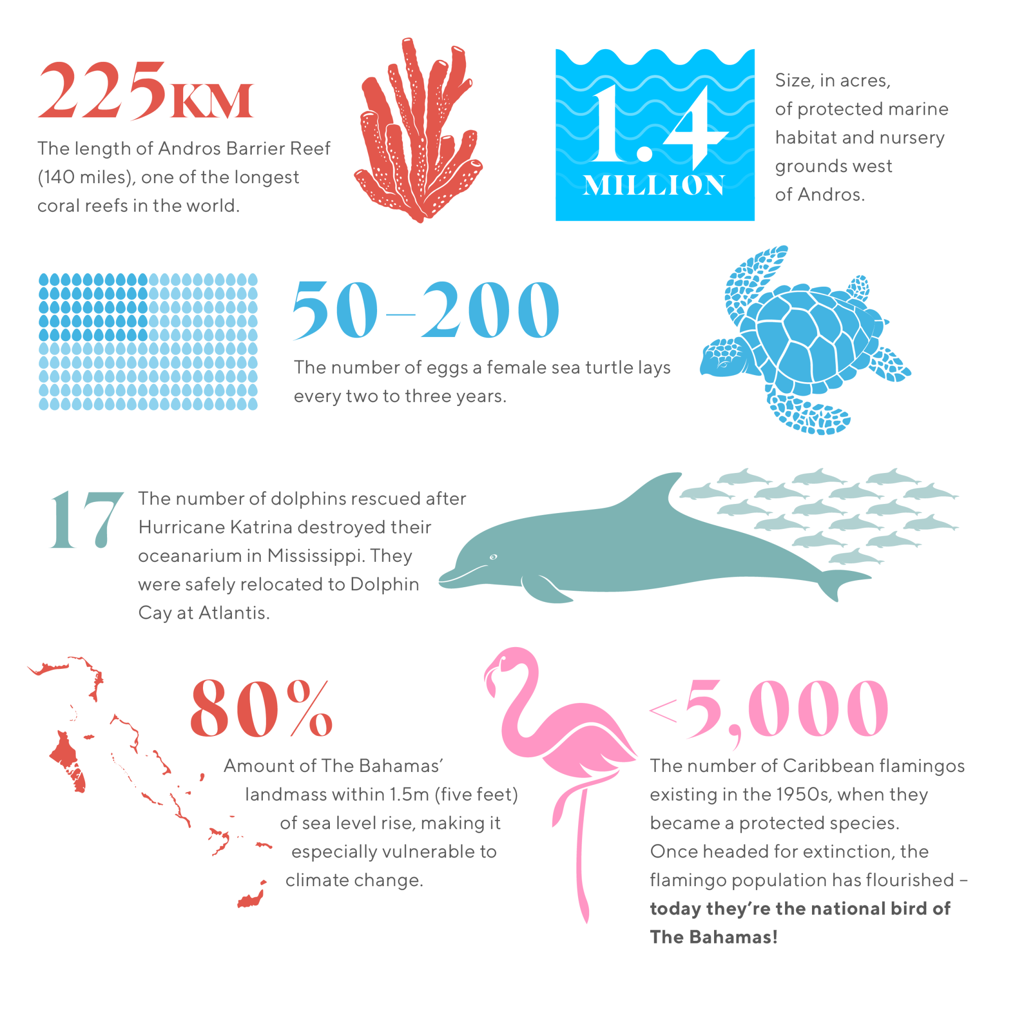 infographic featuring numbers about sustainability in the bahamas